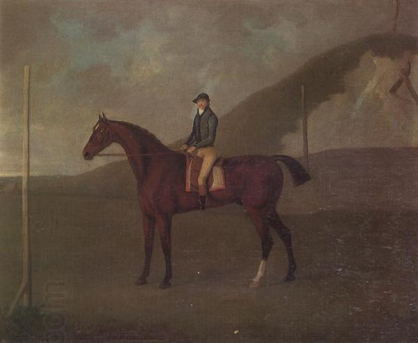 John Nost Sartorius 'Creeper' a Bay colt with Jockey up at the Starting post at the Running Gap in the Devils Ditch,Newmarket
